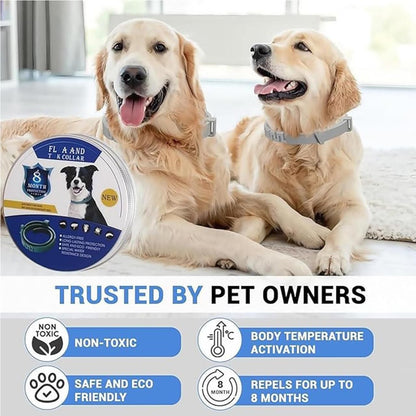 Flea & Tick Protection Collar | Long-Lasting Comfort & Care