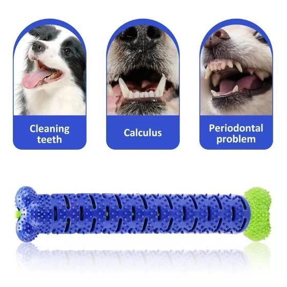 2-in-1 Chew Toy with Dental Stick | Supports Playtime & Daily Oral Care