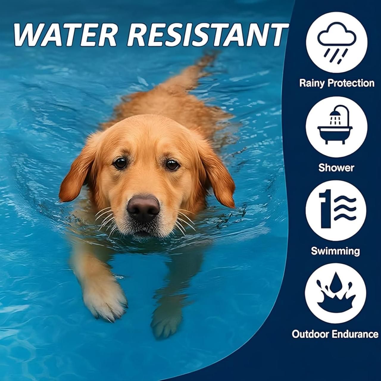 Flea & Tick Protection Collar | Long-Lasting Comfort & Care