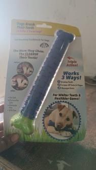 2-in-1 Chew Toy with Dental Stick | Supports Playtime & Daily Oral Care