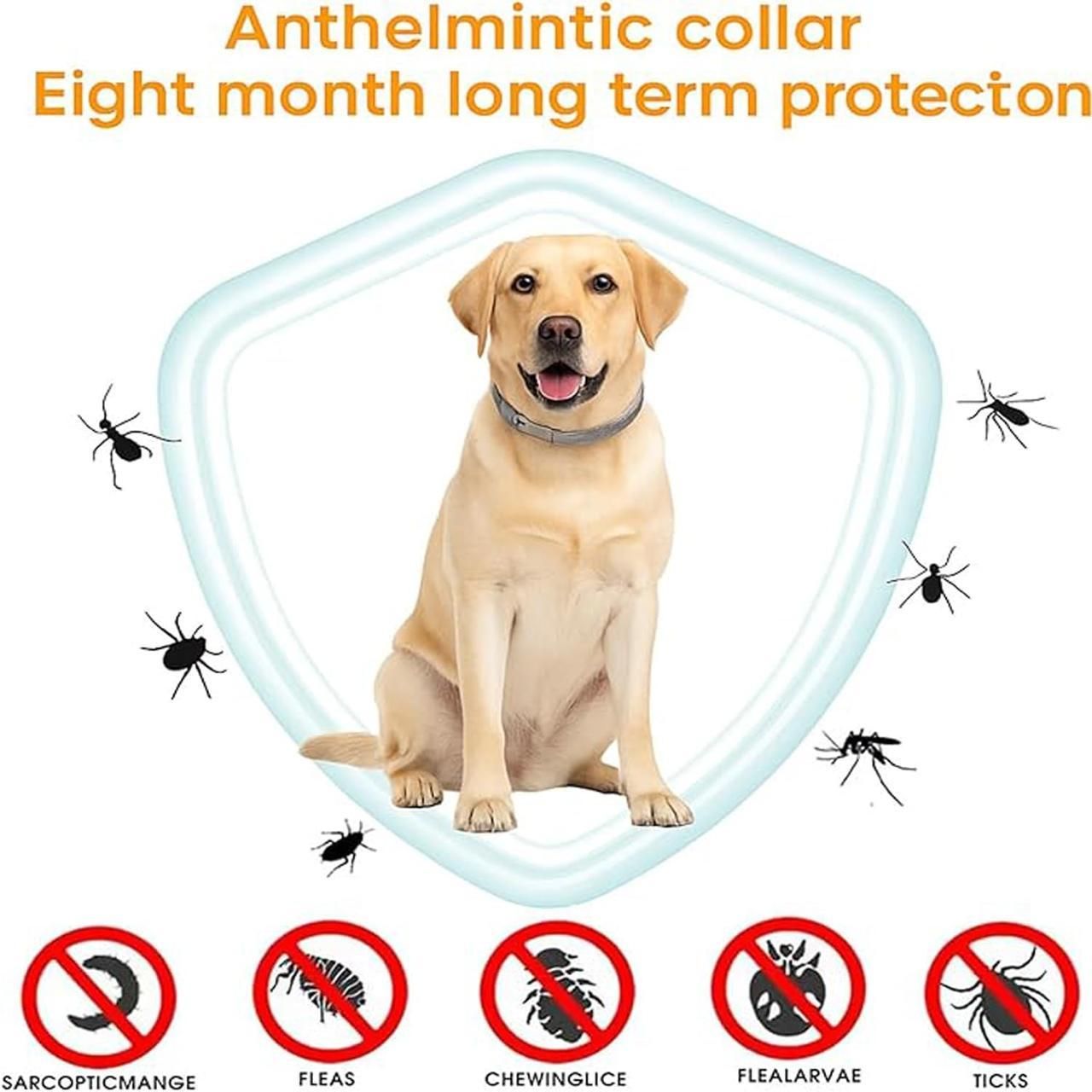 Flea & Tick Protection Collar | Long-Lasting Comfort & Care