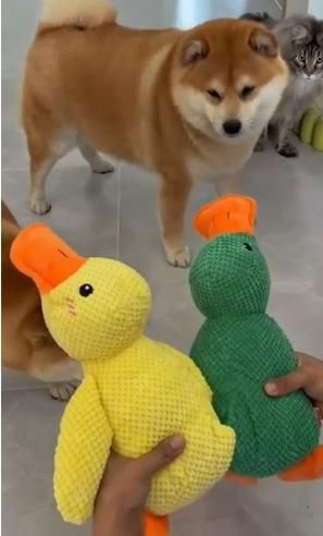 Squeaky Plush Play Toy | Engaging Fun for Everyday Playtime