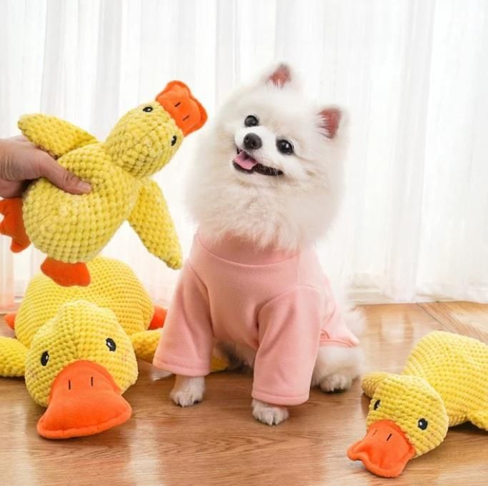 Squeaky Plush Play Toy | Engaging Fun for Everyday Playtime