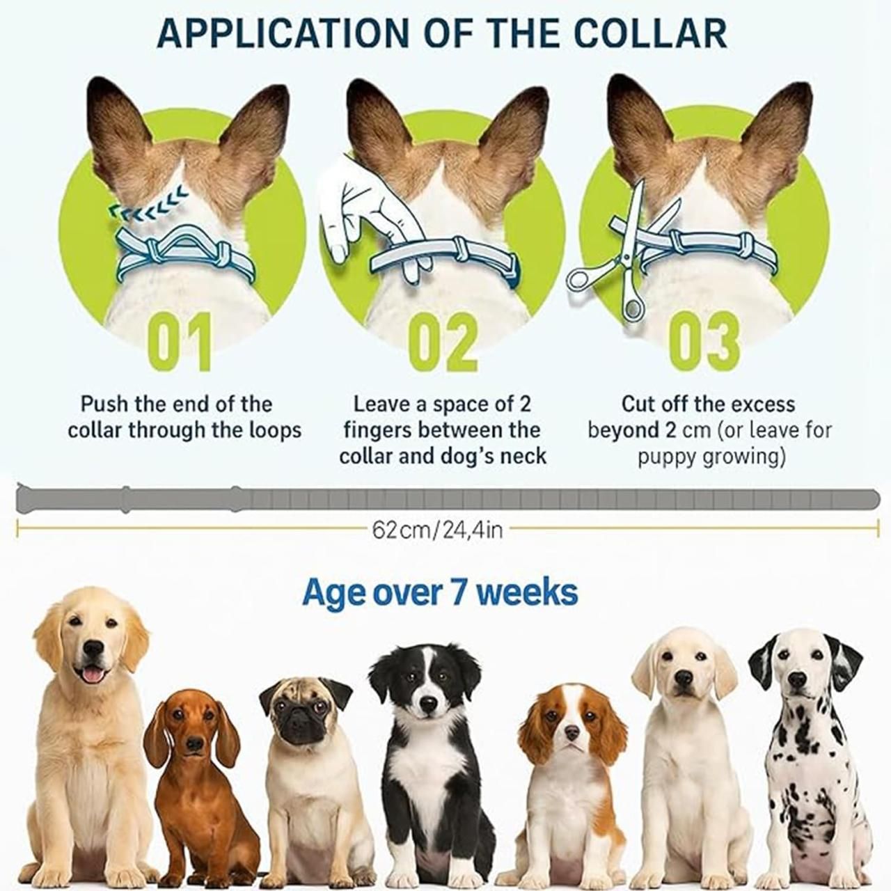 Flea & Tick Protection Collar | Long-Lasting Comfort & Care