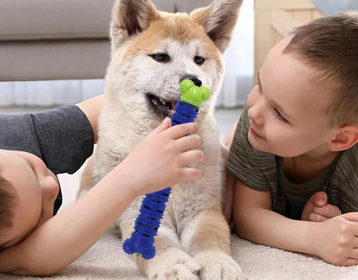 2-in-1 Chew Toy with Dental Stick | Supports Playtime & Daily Oral Care