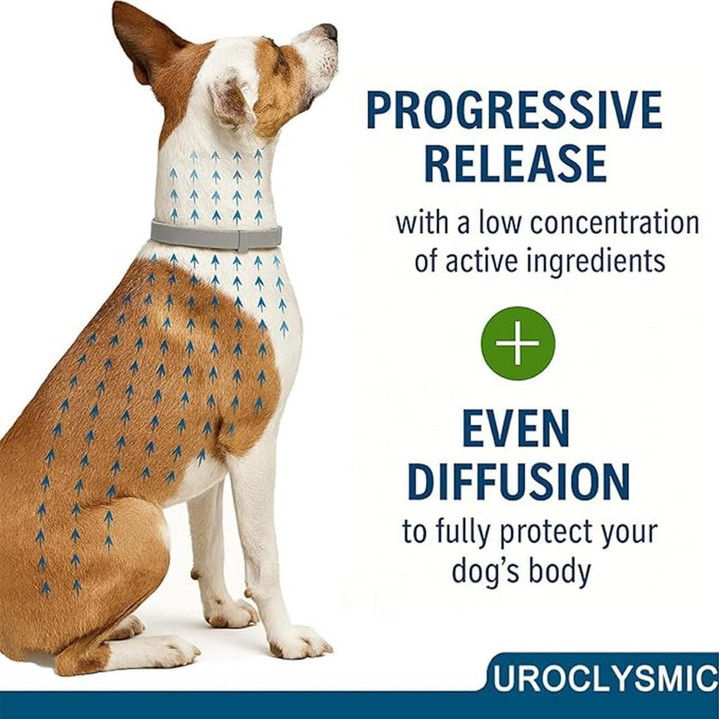Flea & Tick Protection Collar | Long-Lasting Comfort & Care