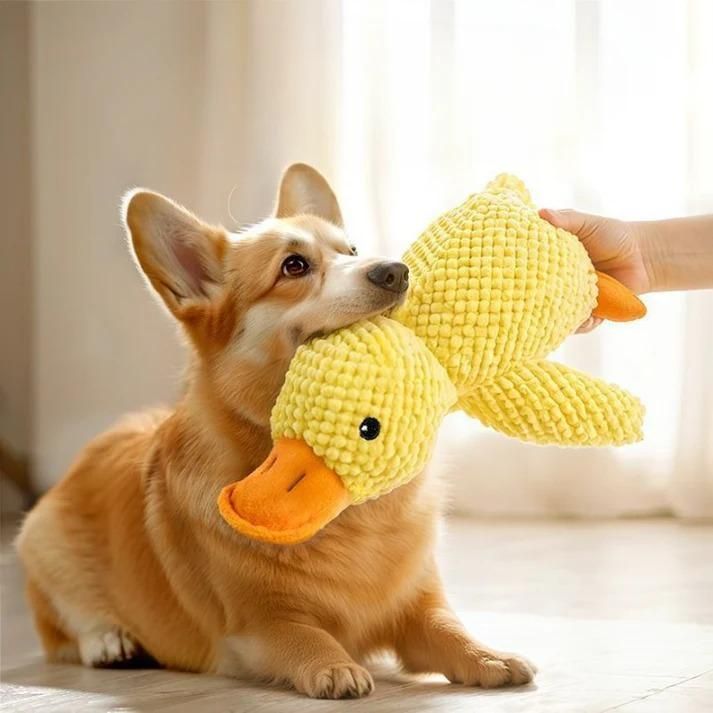 Squeaky Plush Play Toy | Engaging Fun for Everyday Playtime