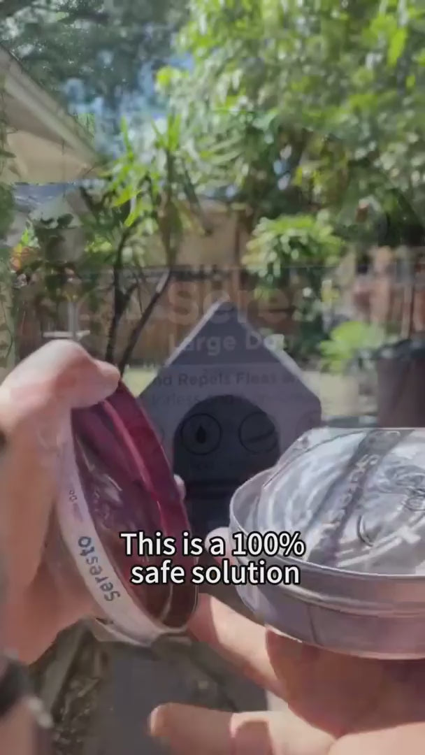 Flea & Tick Protection Collar | Long-Lasting Comfort & Care