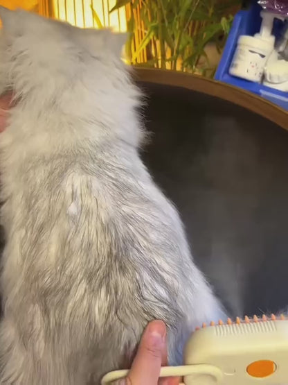 Steam-Assisted Grooming Brush | Smoother Brushing with Reduced Static