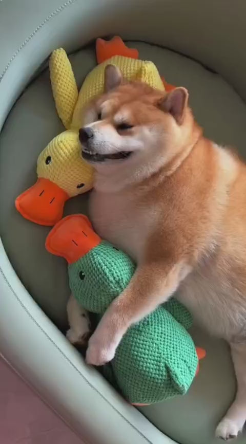 Squeaky Plush Play Toy | Engaging Fun for Everyday Playtime